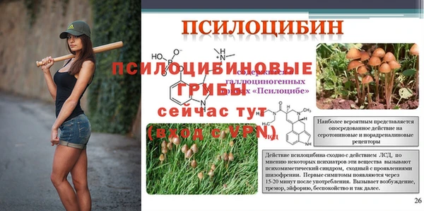 дживик Тайга